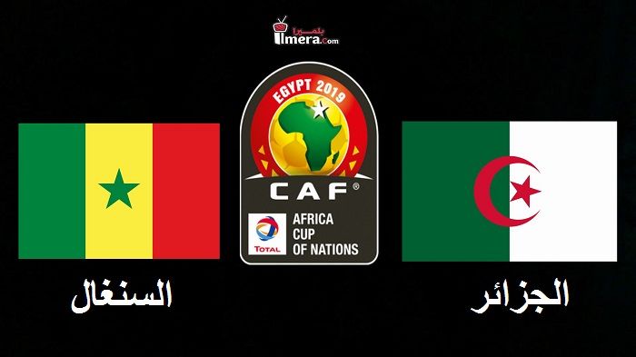 مباراة الجزائر والسنغال 